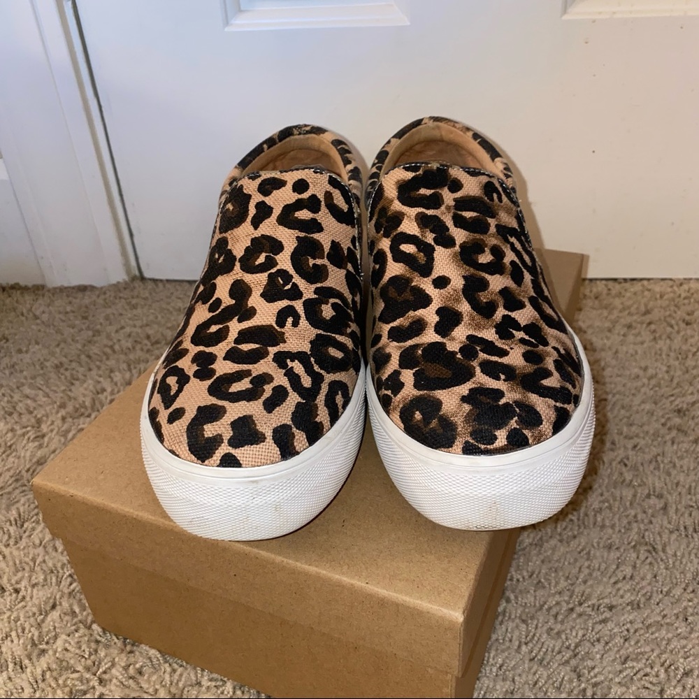 Steve Madden Leopard Gills Sneaker
